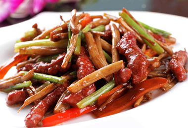 ��⿹���רҵ