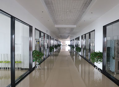 ������ѵ