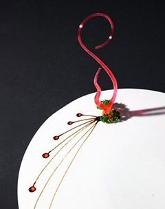 ������ѵѧУ